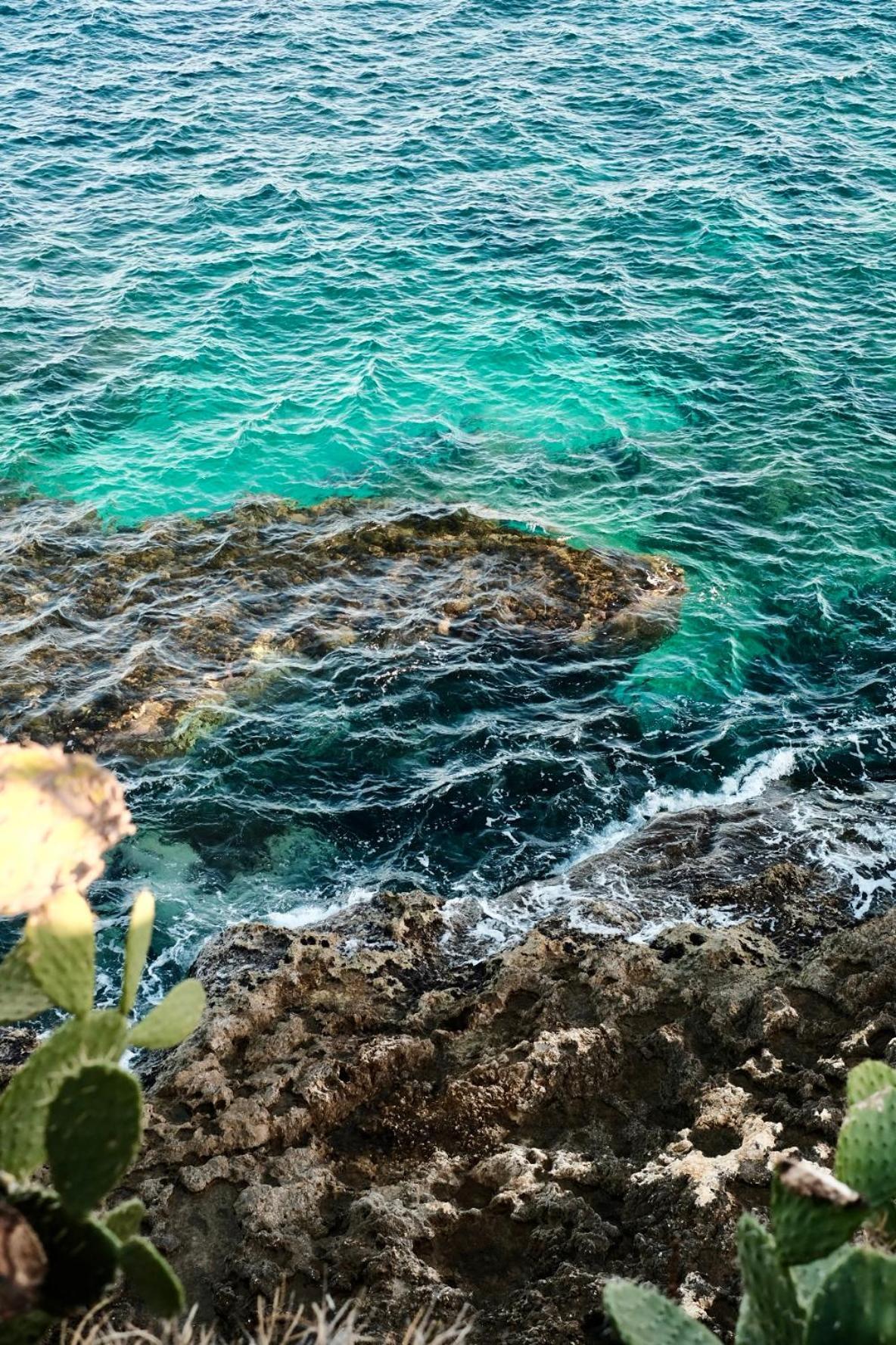 アウグスタ Marinabayヴィラ エクステリア 写真